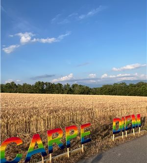 Art en Campagne 2025<br/>“Carpe Diem” Passage